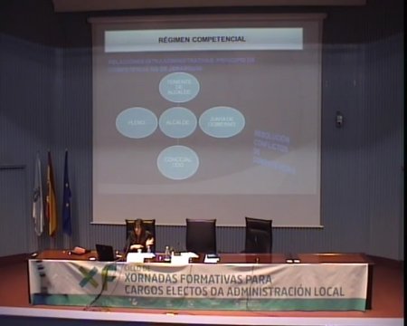 Organizaci&oacute;n municipal complementaria: tipolox&iacute;a e funci&oacute;ns